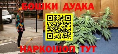 ешки Боровичи
