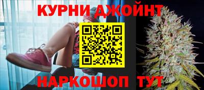 ешки Боровичи