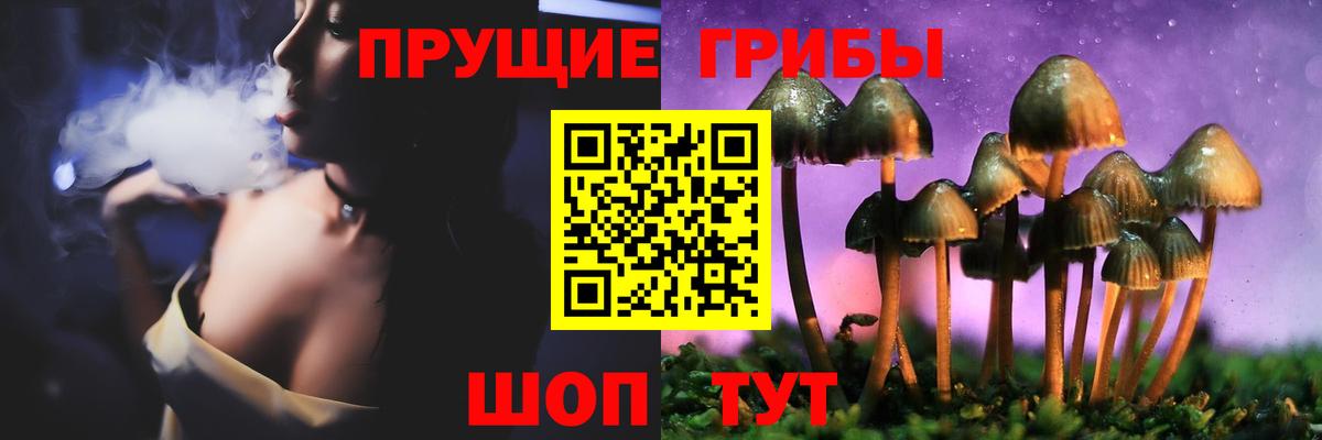 Десногорск  Псилоцибиновые грибы мицелий  Псилоцибиновые грибы Cubensis  Вход с VPN 